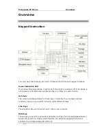 Предварительный просмотр 13 страницы Well SIP-T28P User Manual