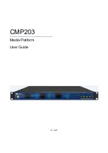 Wellav Technologies CMP203 User Manual preview