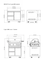 Preview for 15 page of Wellis Coyote BBQ Instruction Manual