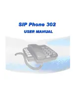 WELLTECH SIP-Phone 302 User Manual preview