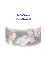 WELLTECH SIP PHONE Manual предпросмотр