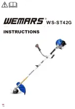 Wemars WS-ST42G Instructions Manual предпросмотр