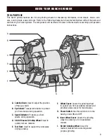 Предварительный просмотр 9 страницы Wen BG4266 Instruction Manual