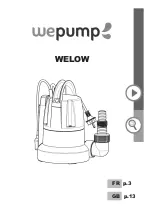 wepump WELOW Manual preview