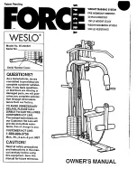 Weslo Spectra Force Manual предпросмотр