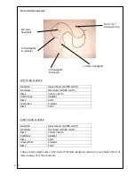 Preview for 45 page of Westfield XTR2 Construction Manual