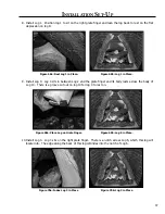 Preview for 37 page of Westgate DV62 Technical Manual