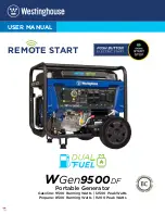 Westinghouse Gen9500DF User Manual preview