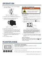 Preview for 21 page of Westinghouse WGen5300DFv User Manual