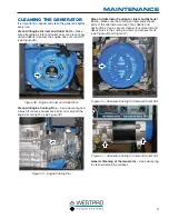 Preview for 30 page of Westinghouse WH4500 Owner'S Manual