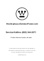 Preview for 19 page of Westinghouse WSolar100p User Manual