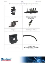 Preview for 9 page of Westport Fuel Systems Installation Manual