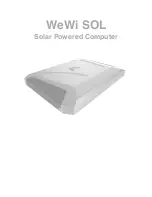 WeWi DBR1-Y Owner'S Manual preview