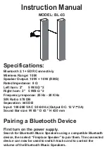 Whalen BL-03 Instruction Manual preview