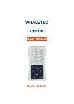 WHALETEQ DFS100 User Manual preview