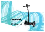 Whirlwind B5 Manual preview