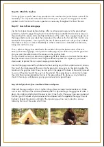 Preview for 7 page of White Duck Outdoors Avalon Series Owner'S Manual