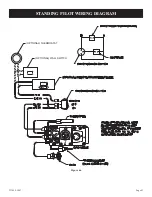 Предварительный просмотр 43 страницы White Mountain Hearth DVP36FP3 Series Installation Instructions And Owner'S Manual