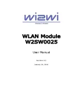 Wi2Wi W2SW0025 User Manual preview