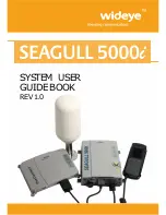 Wideye Seagull 5000i User Manual preview