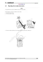 Предварительный просмотр 117 страницы Wieland ricos Manual