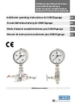 WIKA 232.30 Additional Operating Instructions предпросмотр