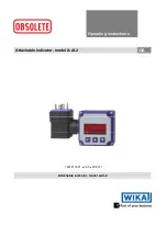 Preview for 1 page of WIKA A-AI-2 Operating Instructions Manual