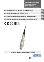 WIKA CPT62I0 Operating Instructions Manual предпросмотр