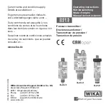 WIKA D-20-9 Operating Instructions Manual предпросмотр