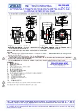 WIKA DW03 Series Instruction Manual предпросмотр