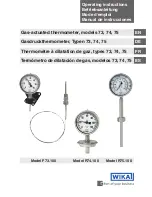 WIKA F73.100 Operating Instructions Manual preview