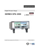 WIKA SERIES CPG 2500 Operating Instructions Manual preview