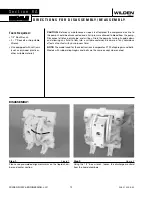 Preview for 14 page of Wilden Advanced P100 Series Engineering, Operation & Maintenance