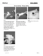 Предварительный просмотр 17 страницы Wilden P25 Advanced Plastic Series Engineering, Operation & Maintenance