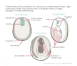 Preview for 8 page of Willow Breast Pump Generation 3 Instructions For Use Manual