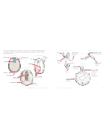 Preview for 12 page of Willow Willow Pump Instructions For Use Manual