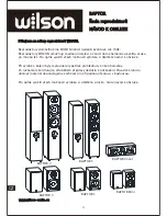 Preview for 16 page of WILSON AUDIO Raptor 1 User Manual