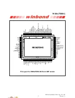 Preview for 19 page of Winbond W83627DHG Manual