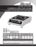 Winco Spectrum EICS-18 Installation And Operating Instruction Manual preview