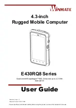 Winmate E430RQ8 Series User Manual preview