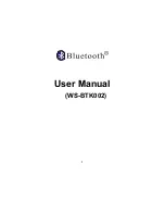 Предварительный просмотр 1 страницы Winner'Sun WS-BTK002 User Manual