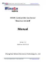 Winsen GM-402B Manual preview