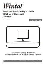 Wintal DAB20C User Manual preview