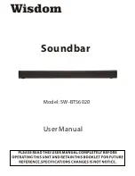 Предварительный просмотр 1 страницы Wisdom SW-BTS6020 User Manual