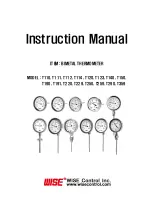 Wise T110 Instruction Manual preview