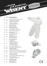 WISENT 20826240 Operating Instructions Manual preview