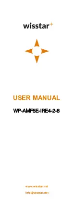 Wisstar WP-AMF5E-IRE4-2-8 User Manual предпросмотр