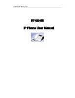 Wistec BT-323-EE User Manual предпросмотр