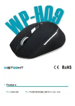 WISTOPHT WP-H09 Manual preview