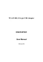 Wistron NeWeb DNUR-W7601 User Manual предпросмотр